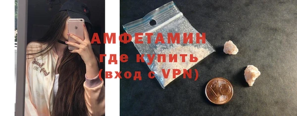 прущие грибы Инта