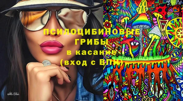 таблы Инсар