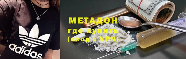 прущие грибы Инта