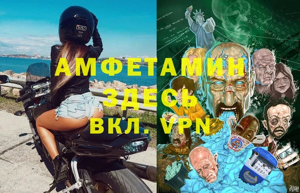 прущие грибы Инта