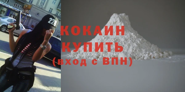 прущие грибы Инта