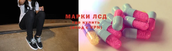 прущие грибы Инта