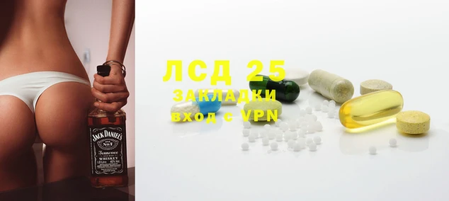 прущие грибы Инта