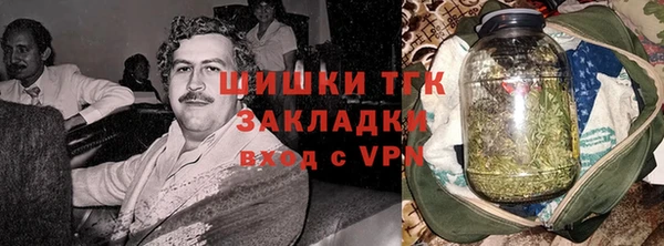 apvp Иннополис