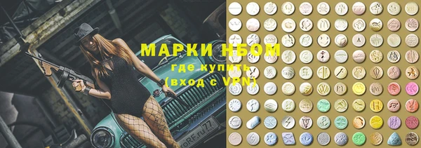прущие грибы Инта