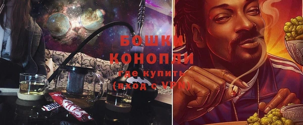 apvp Иннополис