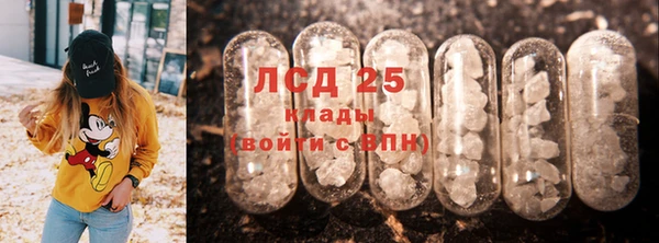 прущие грибы Инта