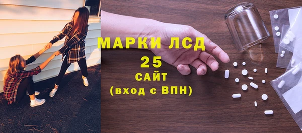прущие грибы Инта