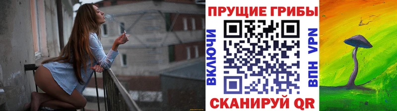 Псилоцибиновые грибы Psilocybine cubensis  где купить наркоту  Ачинск 